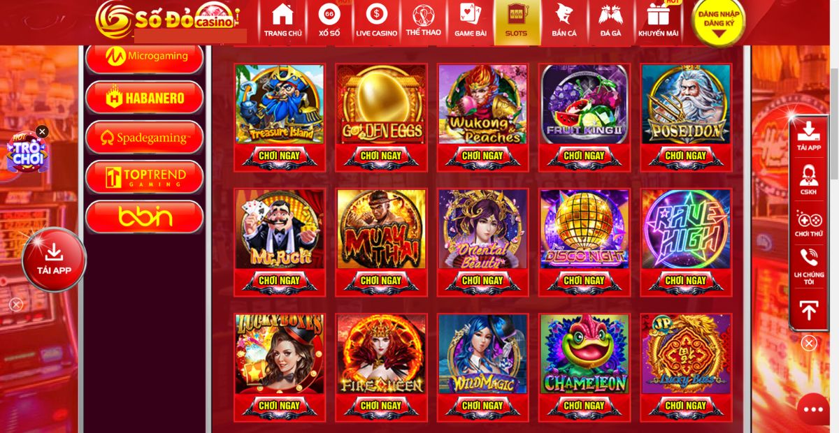 Các thuật ngữ có trong Slot game sodo66