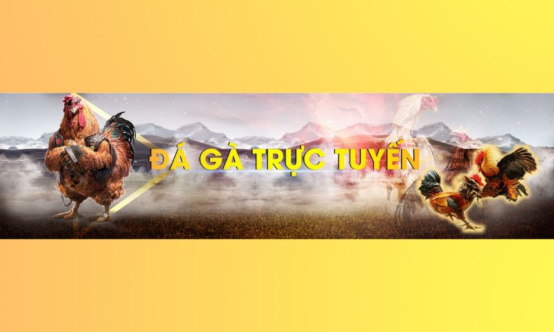 Game Đá Gà sodo66 vì sao được ưa chuộng?