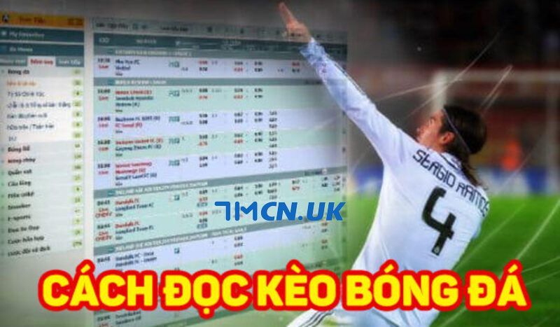 7m.cn hướng dẫn cách đọc bảng tỷ số cá cược bóng đá như chuyên gia