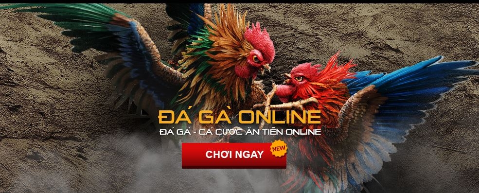 Kinh nghiệm chơi đá gà online tại GOAL123